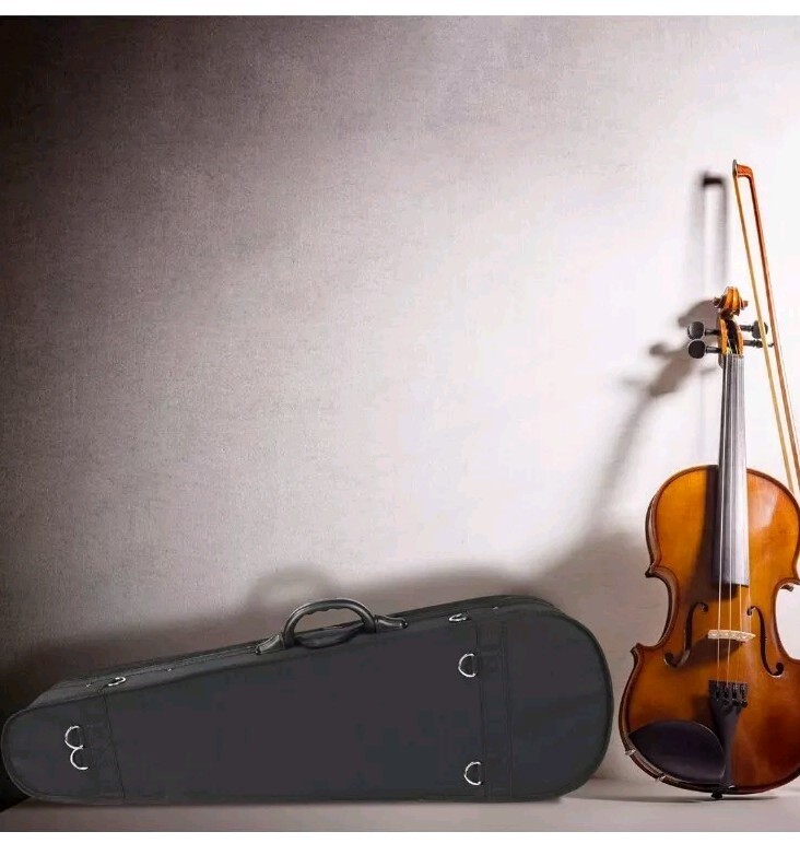 ADM 4/4 Full Size Beginner Violin Hard Case Basic Professional Triangular Shape