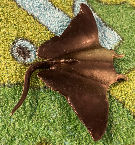 Manta Ray - Small Polyvinyl AAA