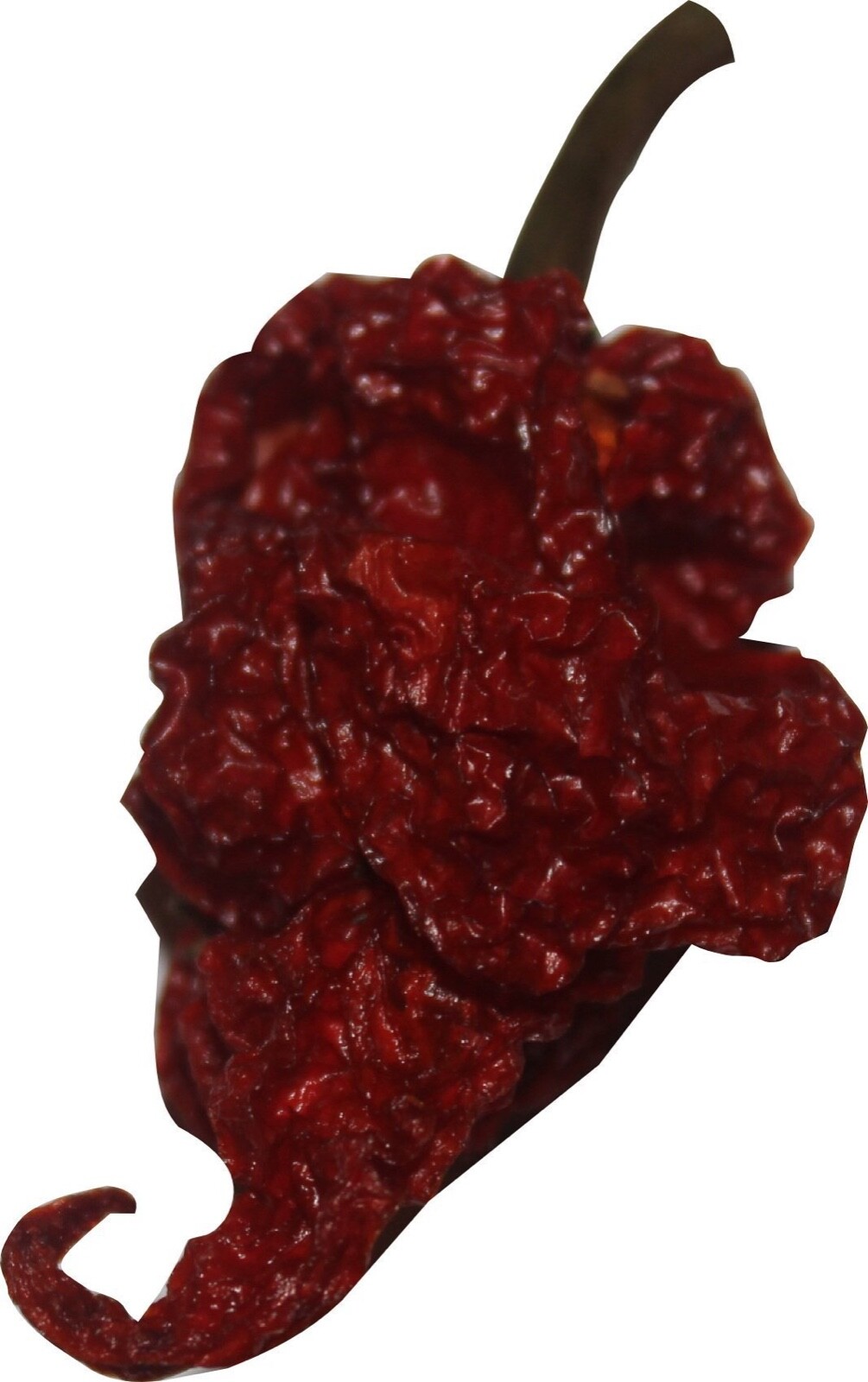 Carolina Reaper Powder Wicked Reaper Chili Pepper World's Hottest Chili 2 oz