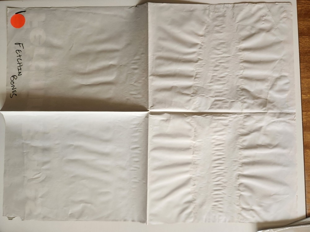 Fetchin Bones 1986 Promo Poster Bad Pumpkin Hope Nicholls