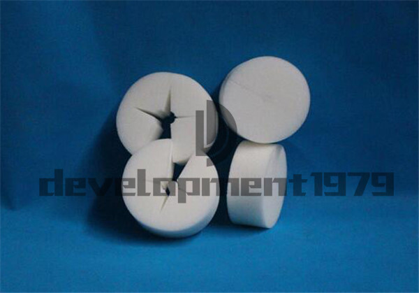 ONE White ClCloning Collar Foam Insert Hydroponic Root Guard Mesh Pot