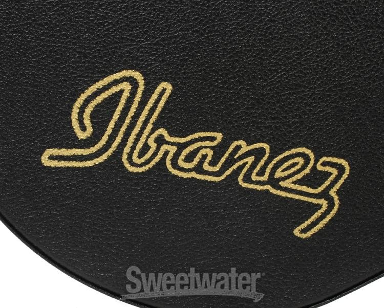 Ibanez SGBE50C Hardshell Acoustic Bass Guitar Case