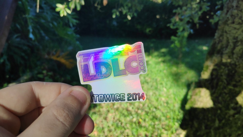 Team LDLC.com Holo Katowice 2014 CSGO CS2 Counter Strike Sticker (Holo Effect)