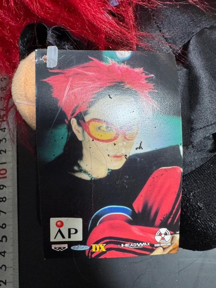 X JAPAN hide Hide DX stuffed toy HIDE (large) approx. 30cm