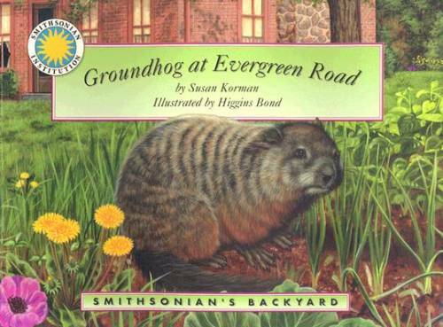 Groundhog at Evergreen Road - a Smithsonian's Backyard Book - Paperback - GOOD