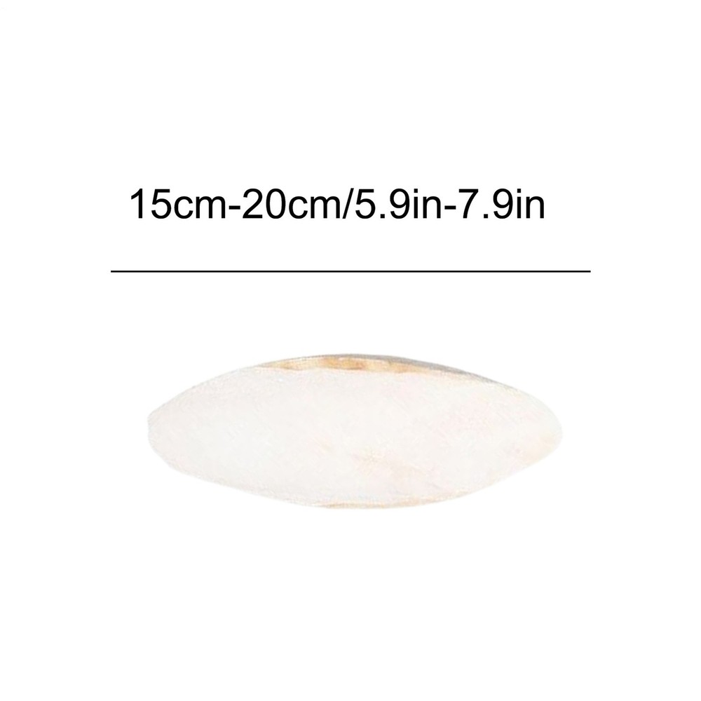 2 Pieces Cuttlefish Bone Natural Cuttlebone Cuttlefish Bone Bird Reptile15-20cm