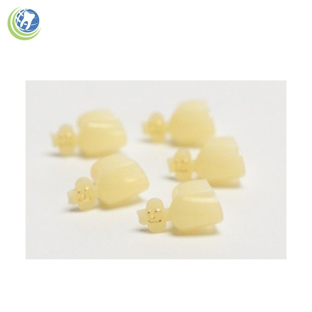 DENTAL POLYCARBONATE TEMPORARY CROWNS #51 SECOND (2ND) BICUSPIDS LARGE 5/PACK