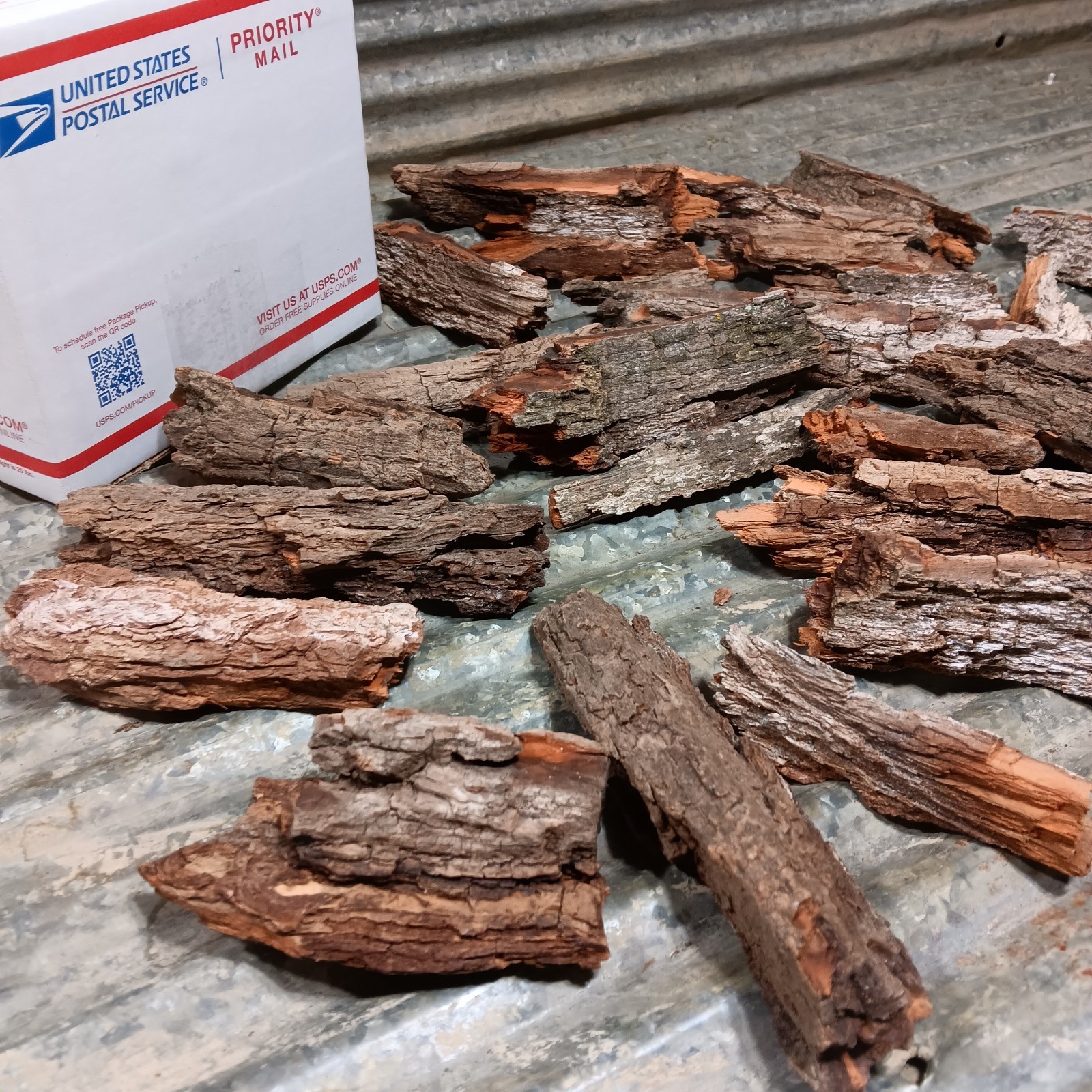 Clean Cottonwood Bark Minis