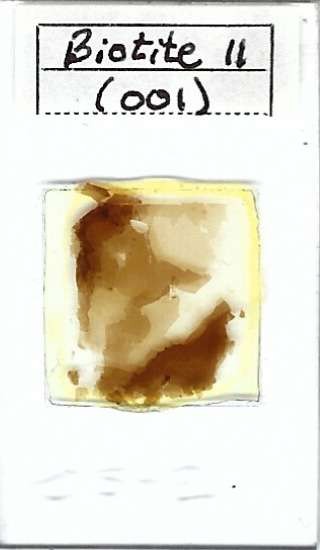 Biotite II (001) Petrographic Microscope Slide (OS-2)