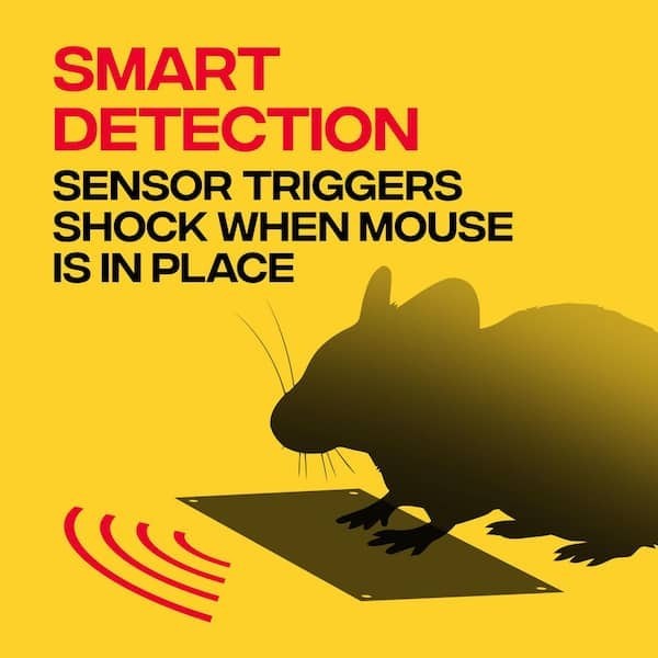 Indoor Electronic Mouse Trap