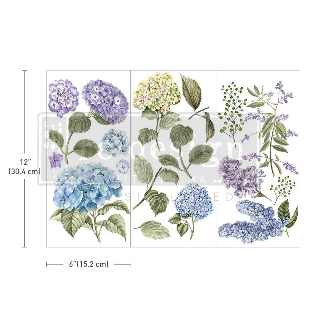 SMALL TRANSFERS – MYSTIC HYDRANGEA