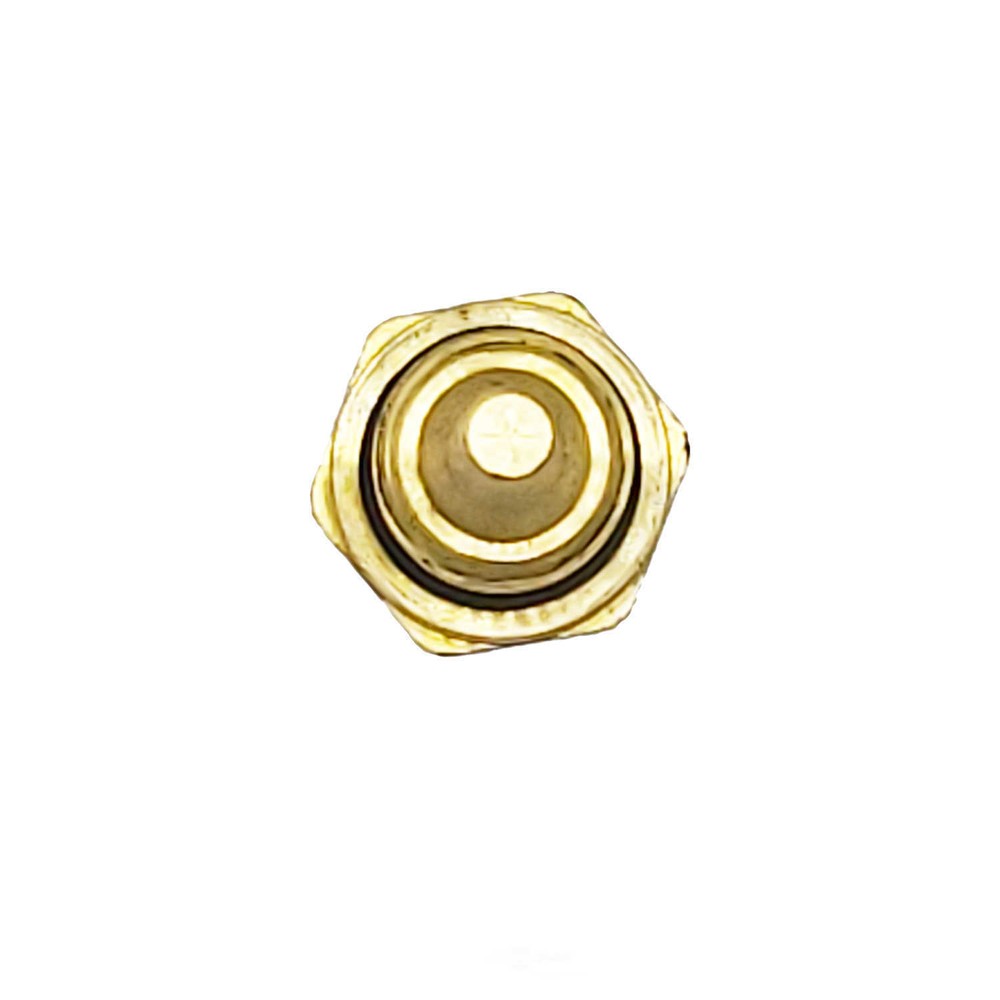Engine Coolant Temperature Sensor Holstein 2CTS0193