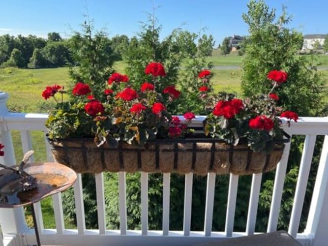 36 Inch Window Box Planters 2 Pack with Coco Liners, Rustproof 36inch/2pack