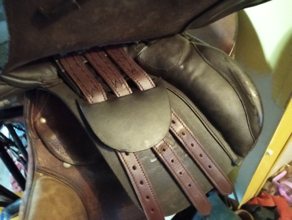 english saddle