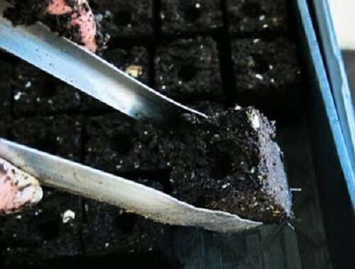 Ladbrooke Soil Blocker 5-Pc. "Essentials" Nesting System. Authorized Reseller