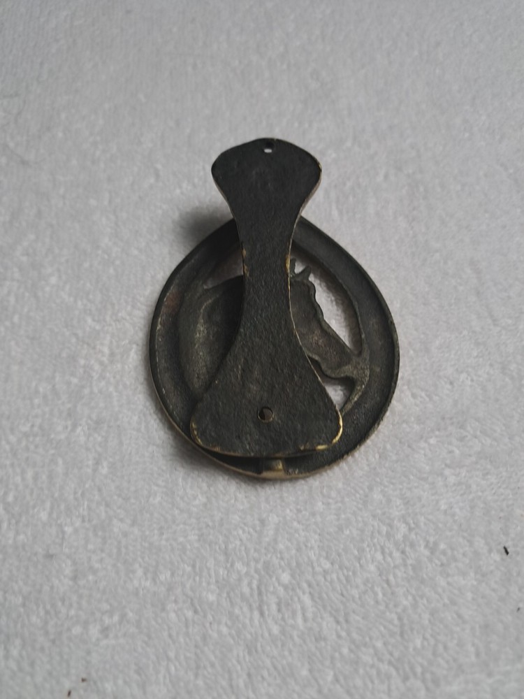 Horseshoe Head Door Knocker Brass