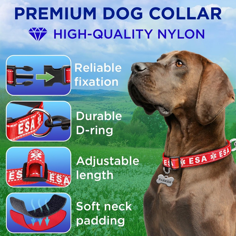 TECEUM Reflective Pet Collar – Red - ESA – M – Extra Soft Medium, -