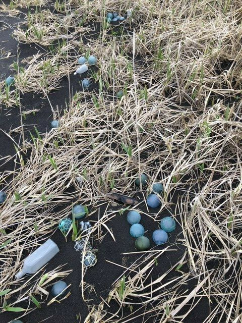 Two Authentic Japanese Large and Small Rolling Pin Floats Alaska Beach Combed