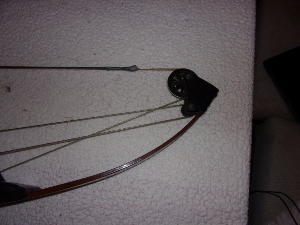 Bear Whitetail Hunter Compound Bow SEE DESCRIPTION
