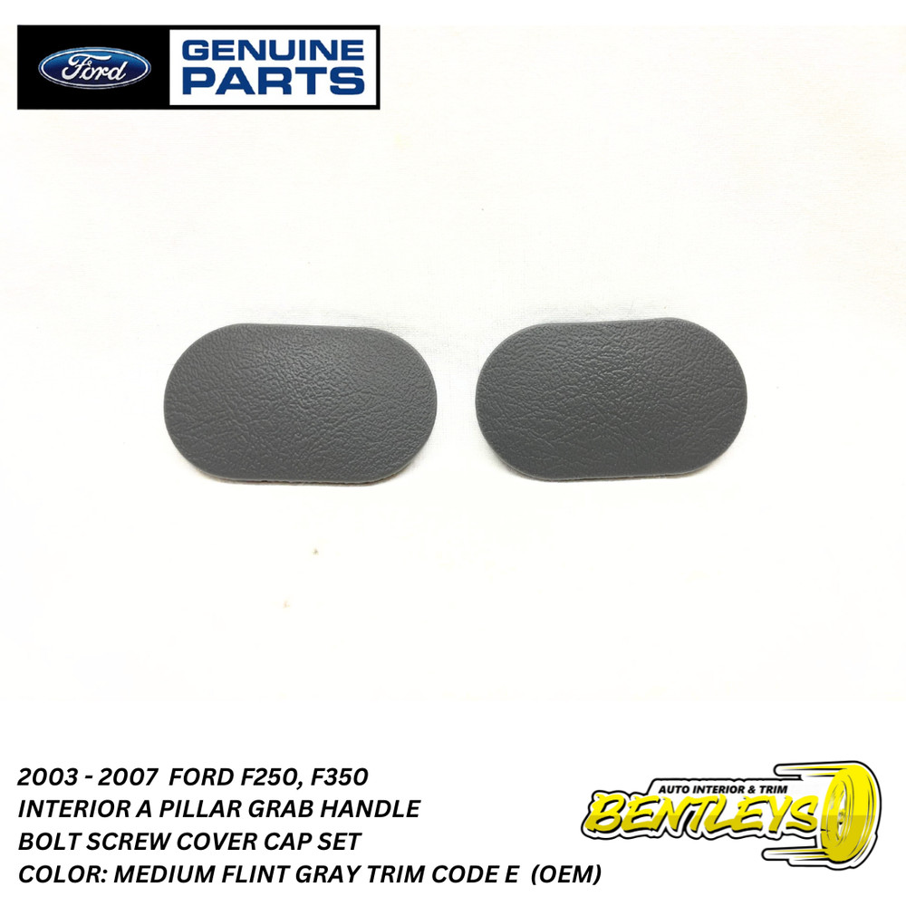 2000 - 2007 FORD F250 F350 A PILLAR GRAB HANDLE BOLT CAP SET MED GRAY TRIM E OEM