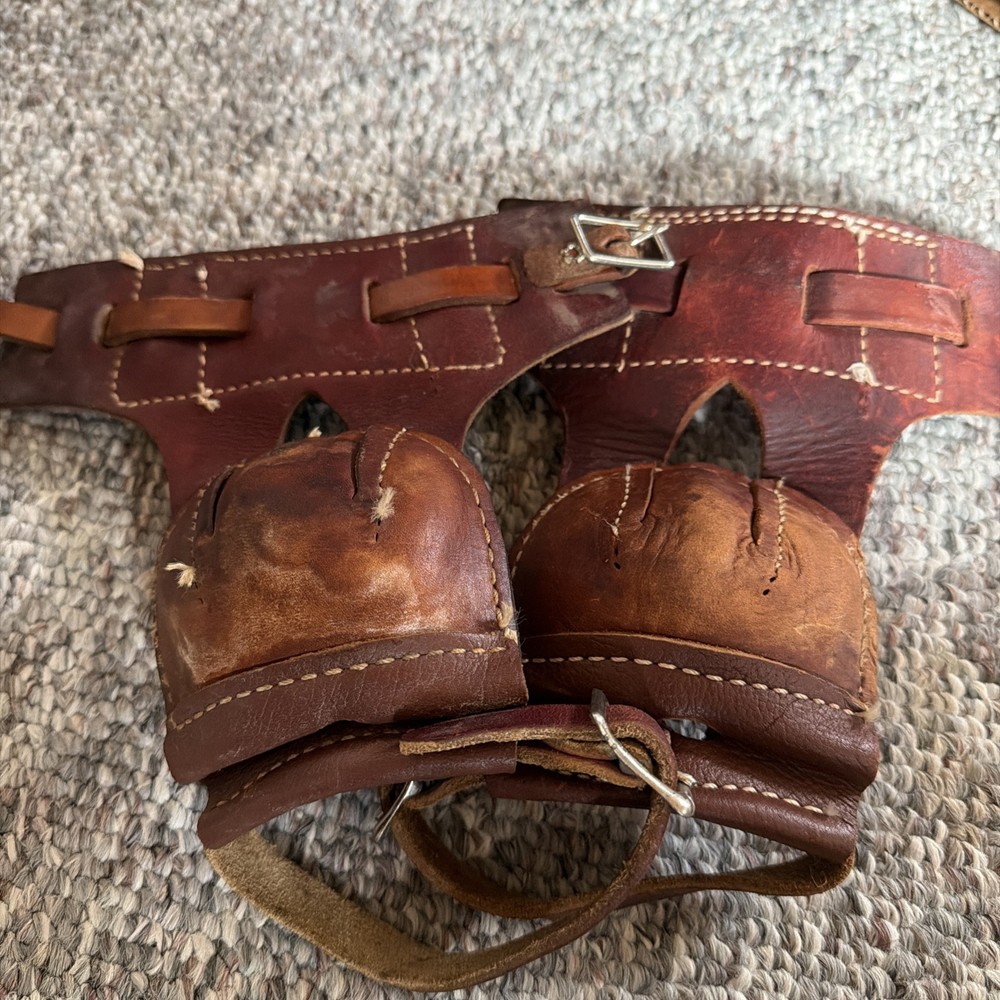 Leather Hind Skid Boots