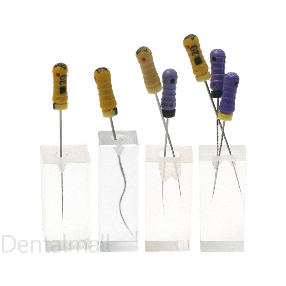 Dental Root Canal Practice Teeth Model for Pulp Study RCT Endo File Teach Study