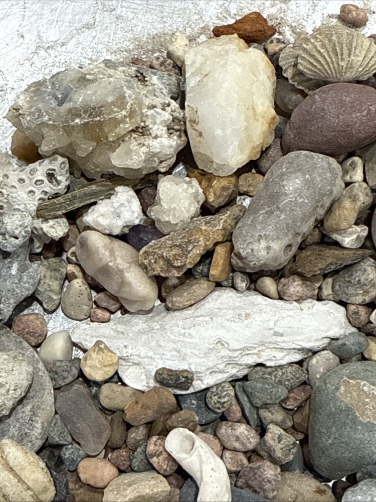 Collectable Rocks & Corral