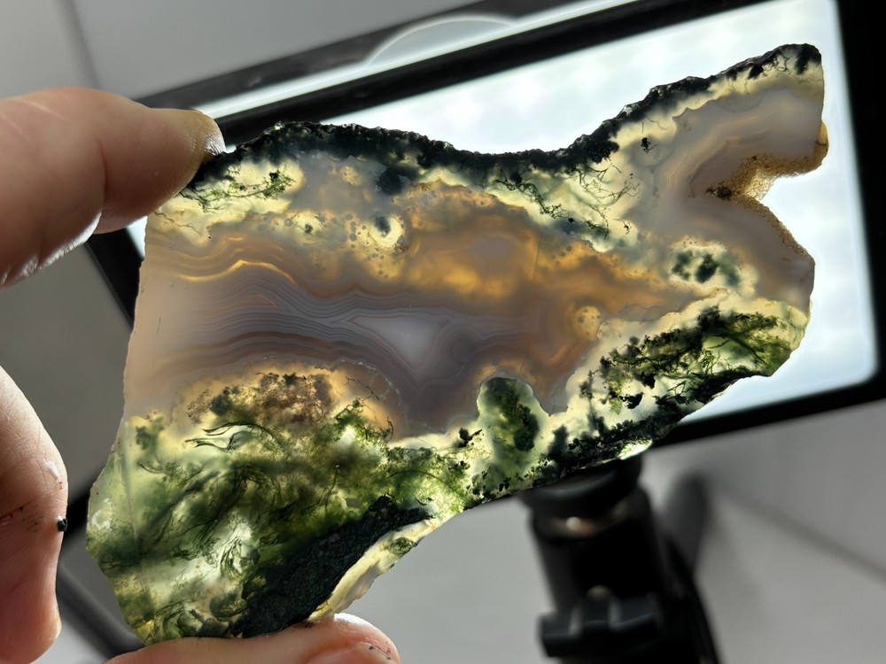 Semi-translucent Moss Agate Slabs Cabbing Lapidary Combo Ship Avail