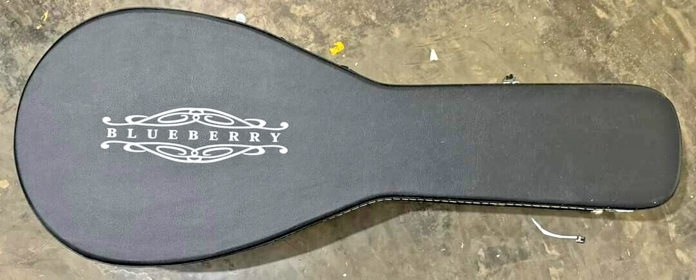 Blueberry Handmade Ten String Classical Nylon String Guitar Built to Order