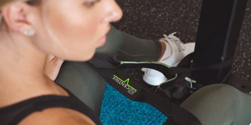 TE Harness | Isolates The Core for Beginners and Experts | Best Abdominal Work
