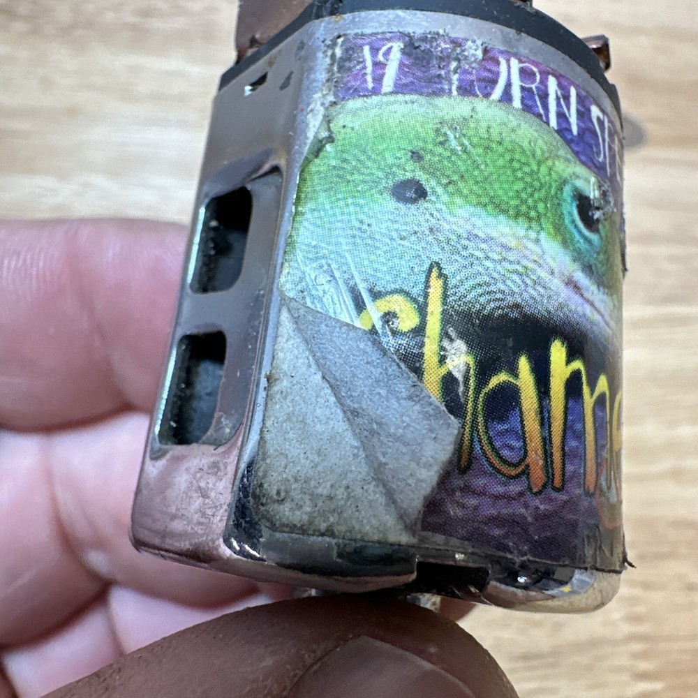 Trinity Chameleon 19t Spec Brushed Motor 540