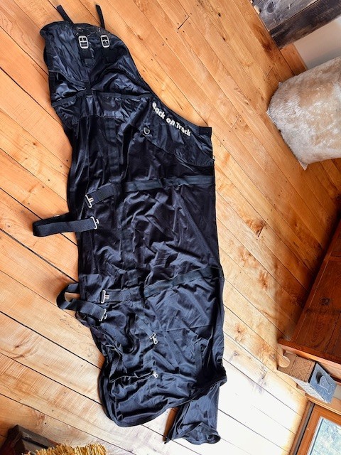 Back on track sheet horse sheet