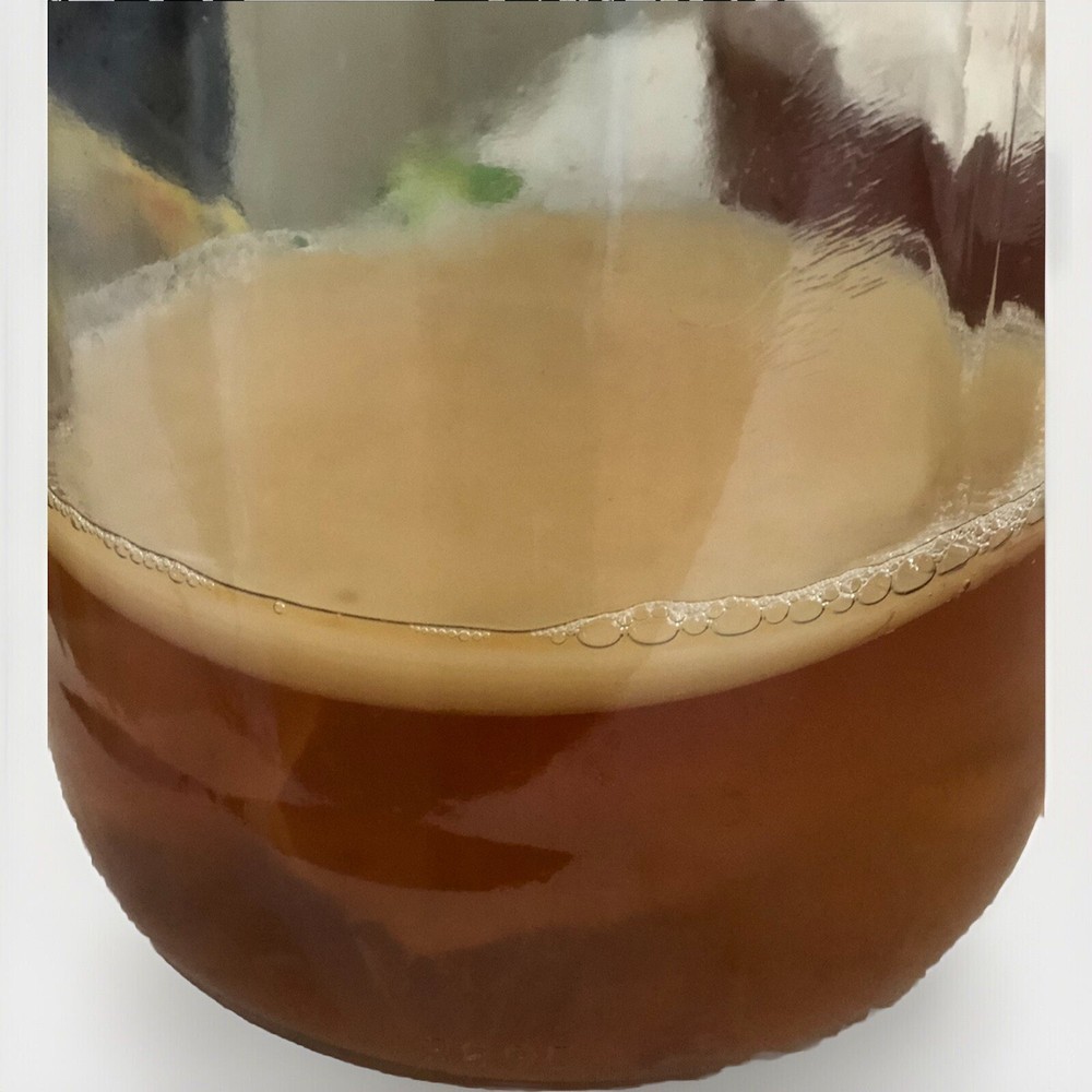 Large KOMBUCHA SCOBY And 2 CUPS Strong starter tea (Makes 1 Gallon Batch)