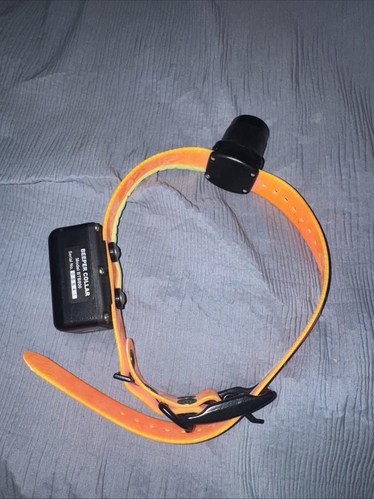 DT Systems Baritone Beeper Collar Double Beep BTB-800