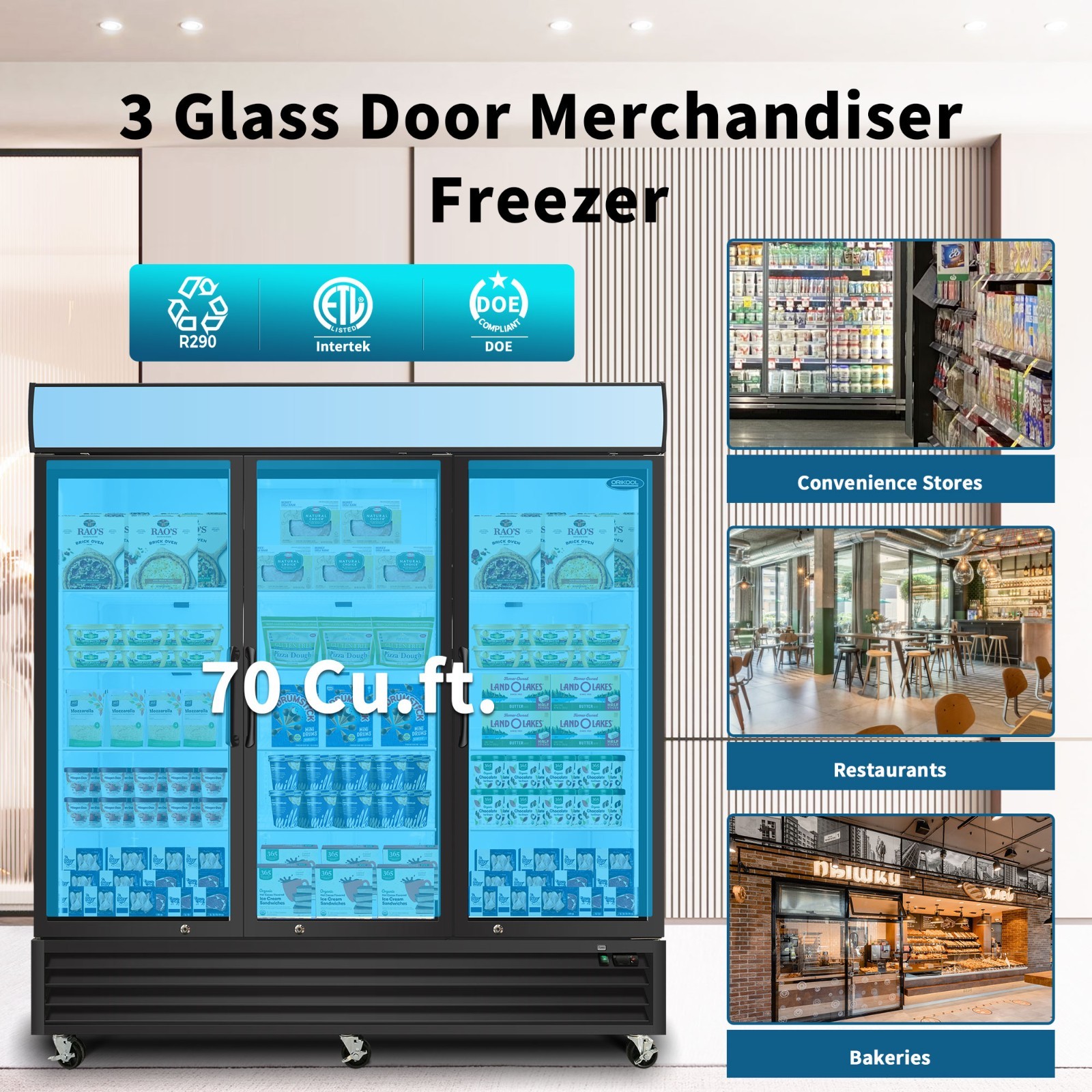 Commercial Glass Door Freezer Reach in Display Merchandiser 3 Section Restaurant