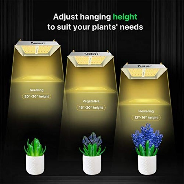 Full Spectrum Quantum Board LED Grow Light 2x2ft Coverage Green House Grow Light