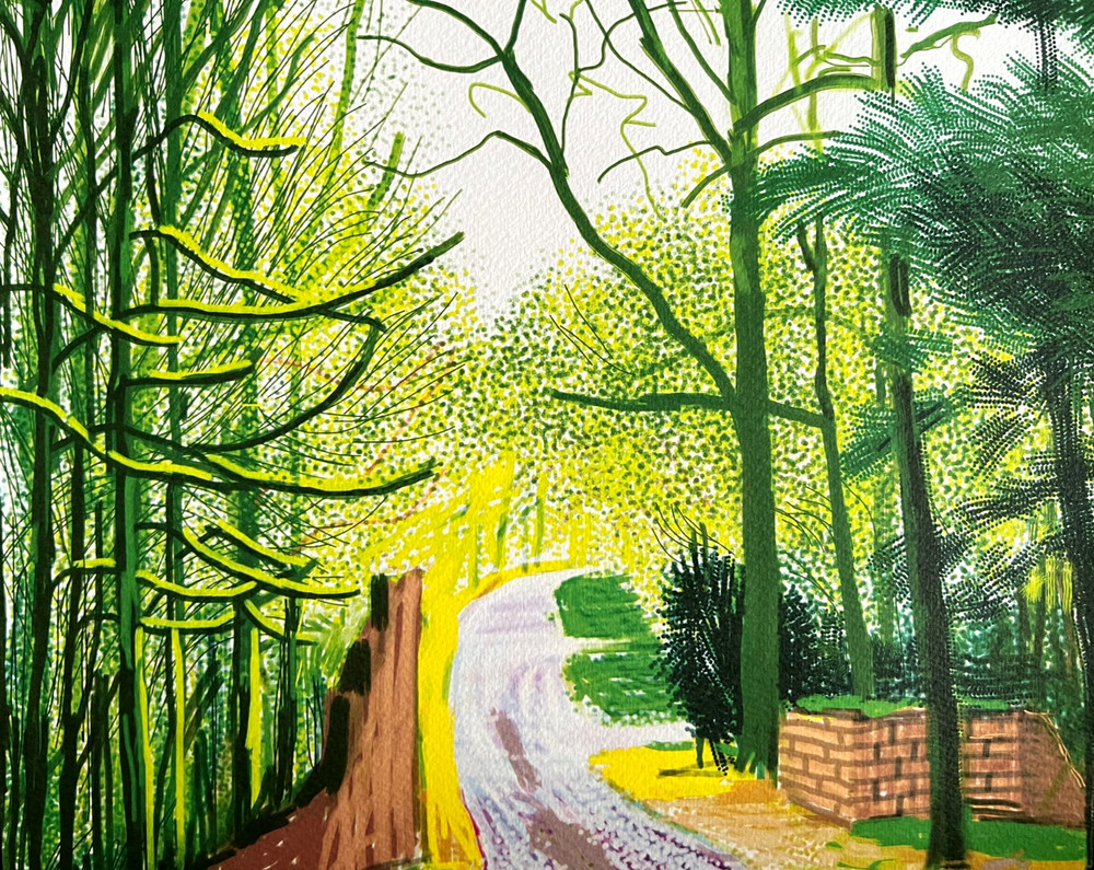 David Hockney Lithograph COA Original Signed Op Numbered Limited &