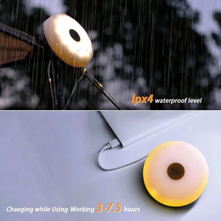 Camping Lights String Christmas: Outdoor String Light with 32.8ft (USB, 1-Pack)