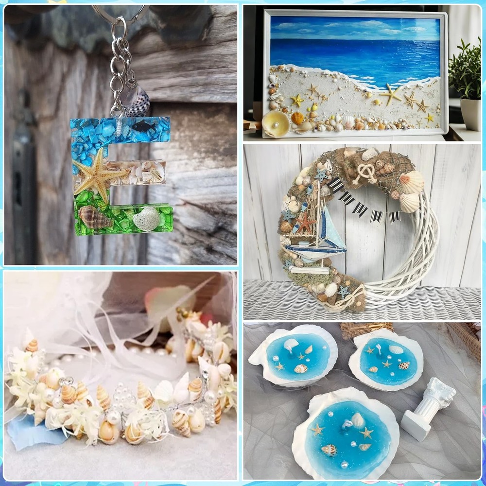 1200 PCS Tiny Seashells& 21 Starfish Mixed Bulk Beach Small Shells for Home Deco