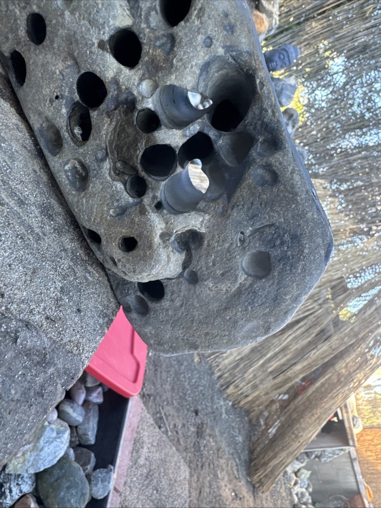 Natural Hag Stone
