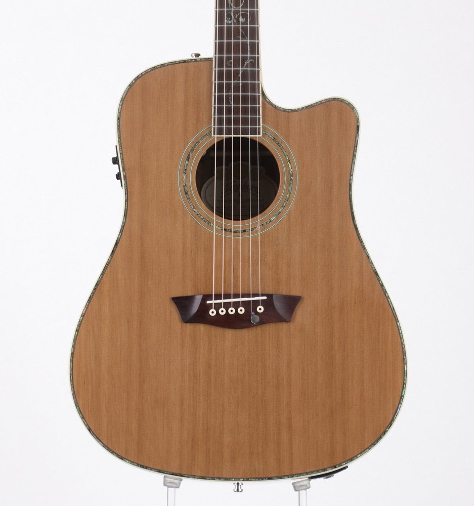 WASHBURN WDFLB28SCE [SC12042923]