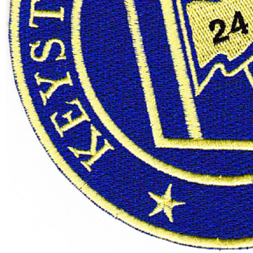 Desron 24 Destroyer Squadron Blue Patch