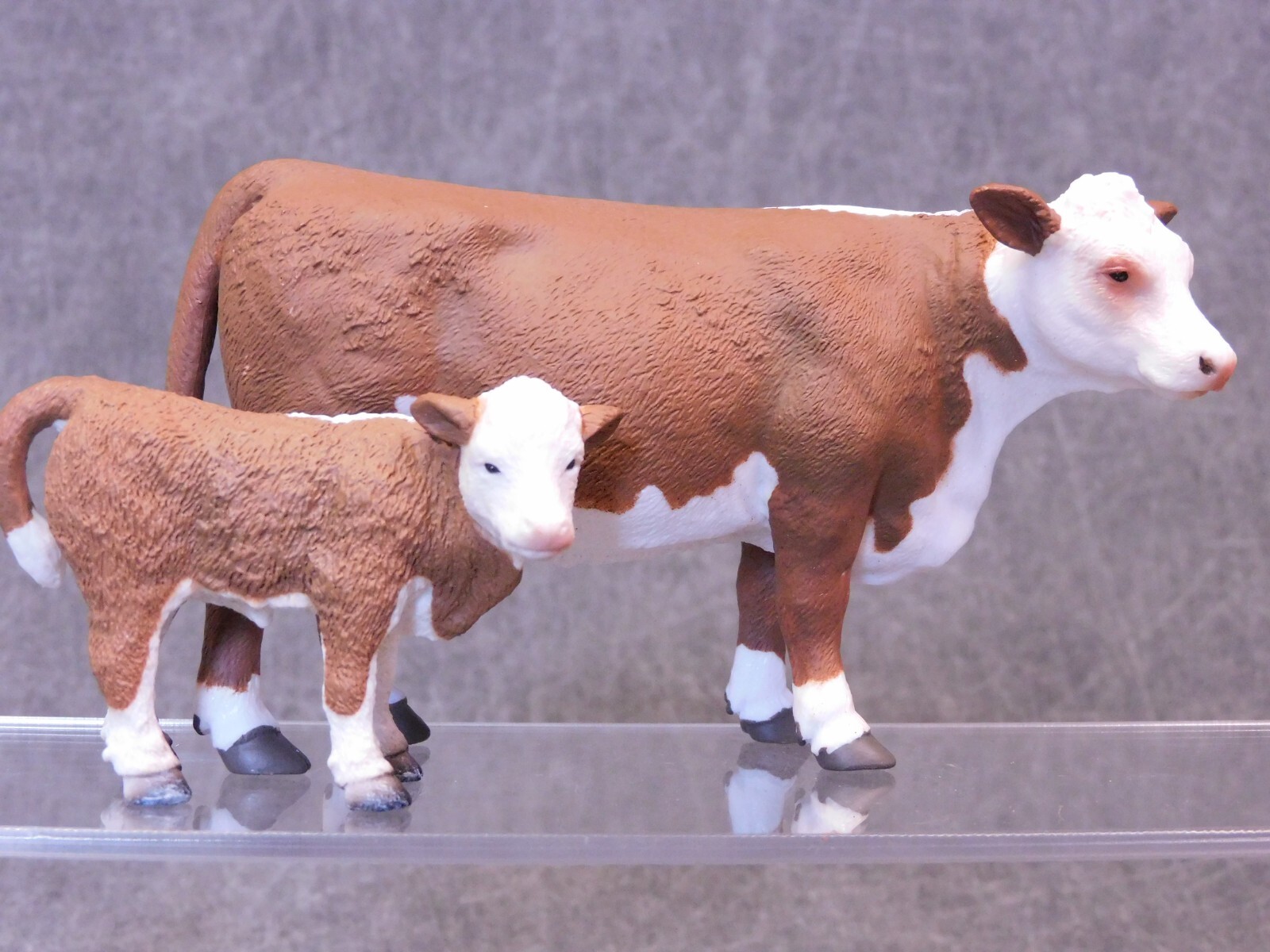 CollectA NIP * Hereford Calf * 88236 Breyer Baby Beef Cow Model Toy Figurine