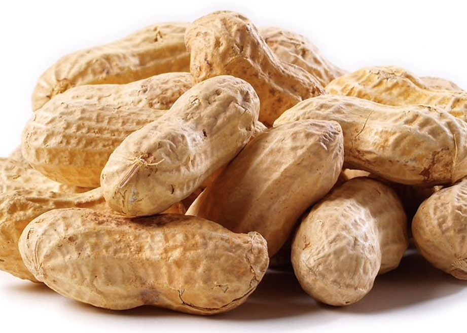RAW IN-SHELL UN-SALTED WHOLE PEANUTS!!! **CHOOSE SIZE**