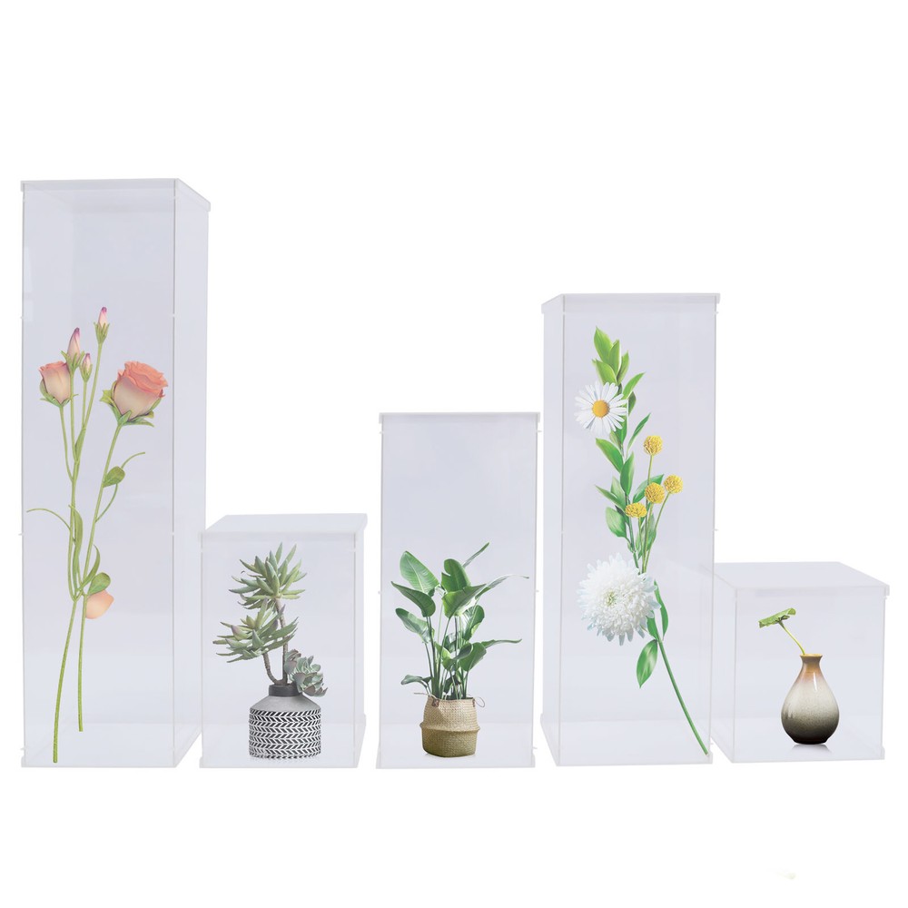 Acrylic Display Box Rectangular Floral Display Box Freestanding New 5 Pieces