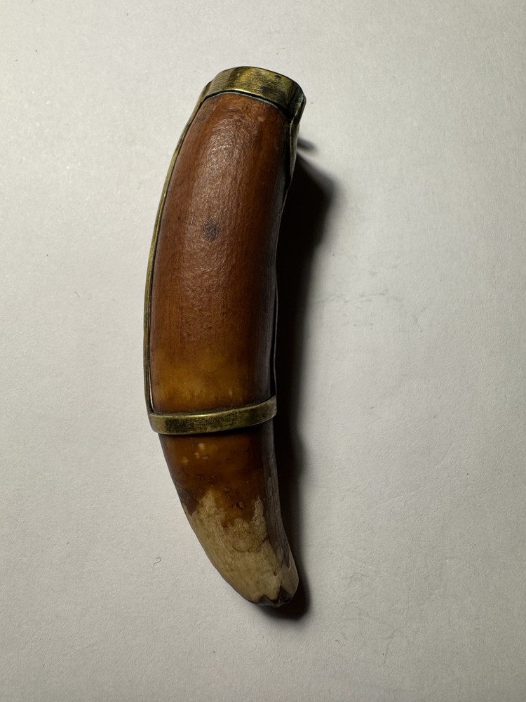 530- Tooth, Teeth, Crocodile’s Tooth