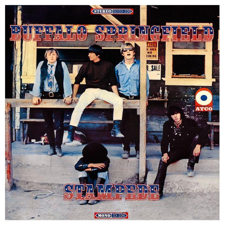 Buffalo Springfield  - 24" X 24" POSTER  - Stampede RARE IMAGE Neil Young CSNY