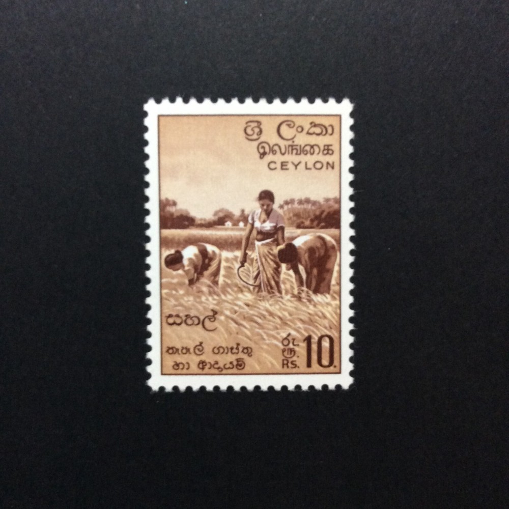 BroadviewStamps Ceylon #356 MNH VF.
