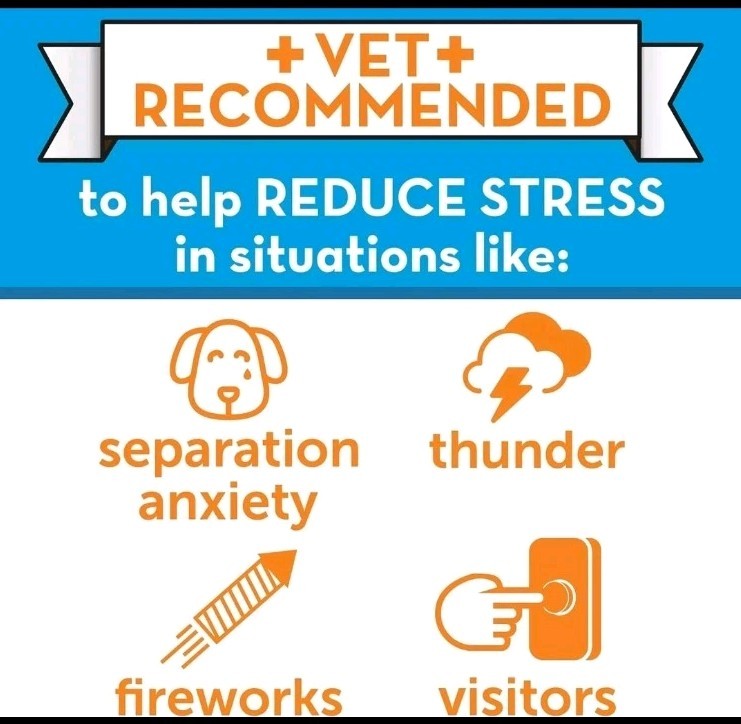 ADAPTIL Dog Calming Pheromone Diffuser Kit | 30-Day Vet-Recommended Relief