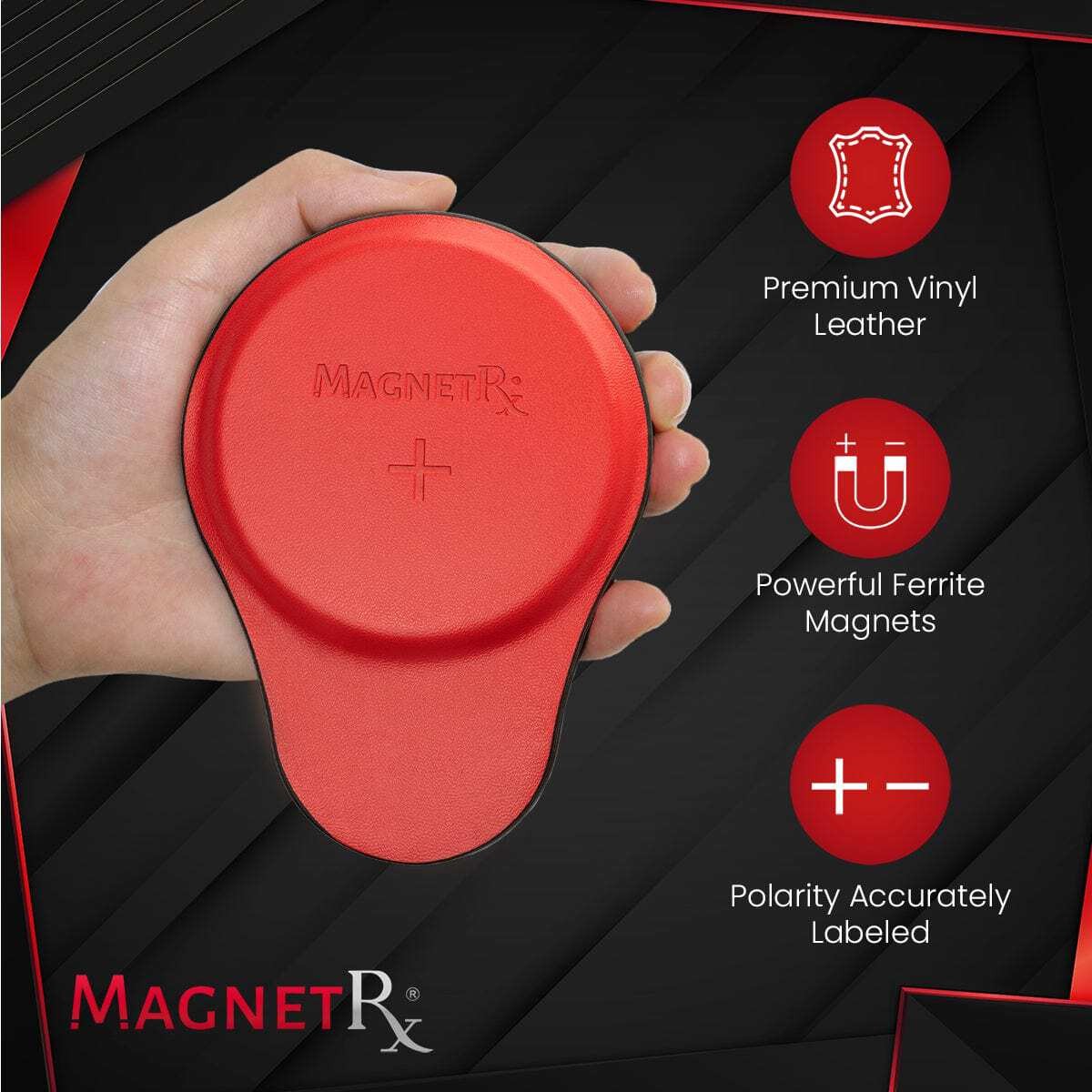 MagnetRX Biomagnetic Therapy Magnets Set (Large 6 Units)